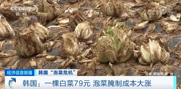韩国人受欺凌事件,吐槽韩国人泡菜事件