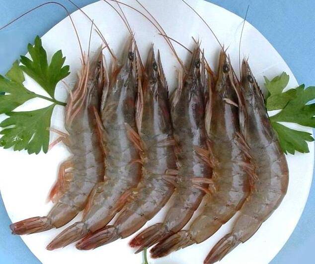 又到周一，今天吃点什么呢？吃龙口大对虾吧