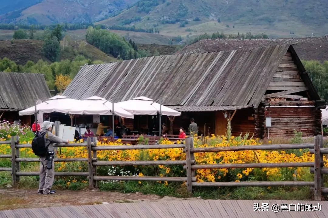 都说新疆好去新疆发展可靠么,都说新疆好地方