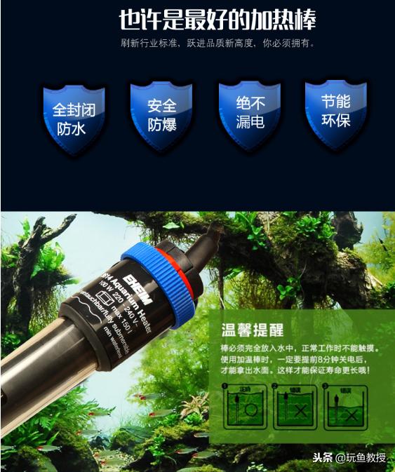 加热棒漏电的鱼会死吗,鱼缸加热棒电死几条鱼
