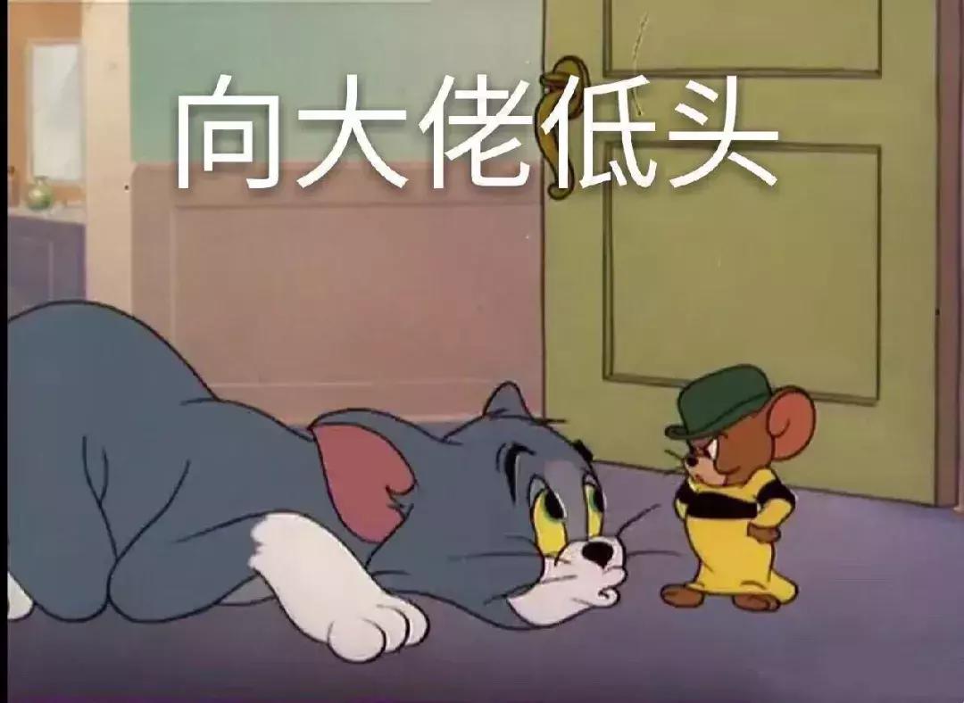 上山下海，无所不能，奋斗在追星第一线的“站姐”挑战各种不可能