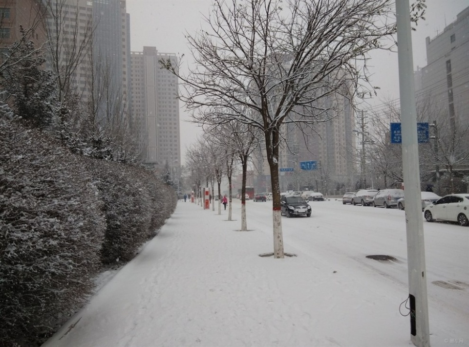 创可贴为何能治愈伤口,创可贴为你疗伤