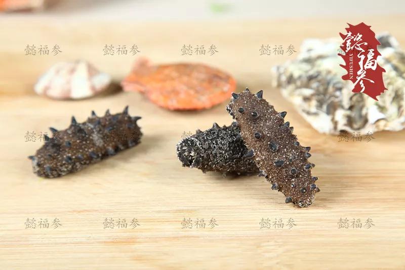 什么样的海参是比较好的海鲜,什么样的海参质量好有养分