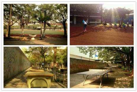 高职高考必看广东文理工作学院,广东工作学院是高职院校吗