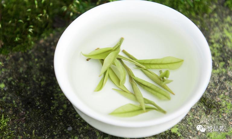 安吉白茶茶叶的味道怎么样,安吉白茶是什么样的口感