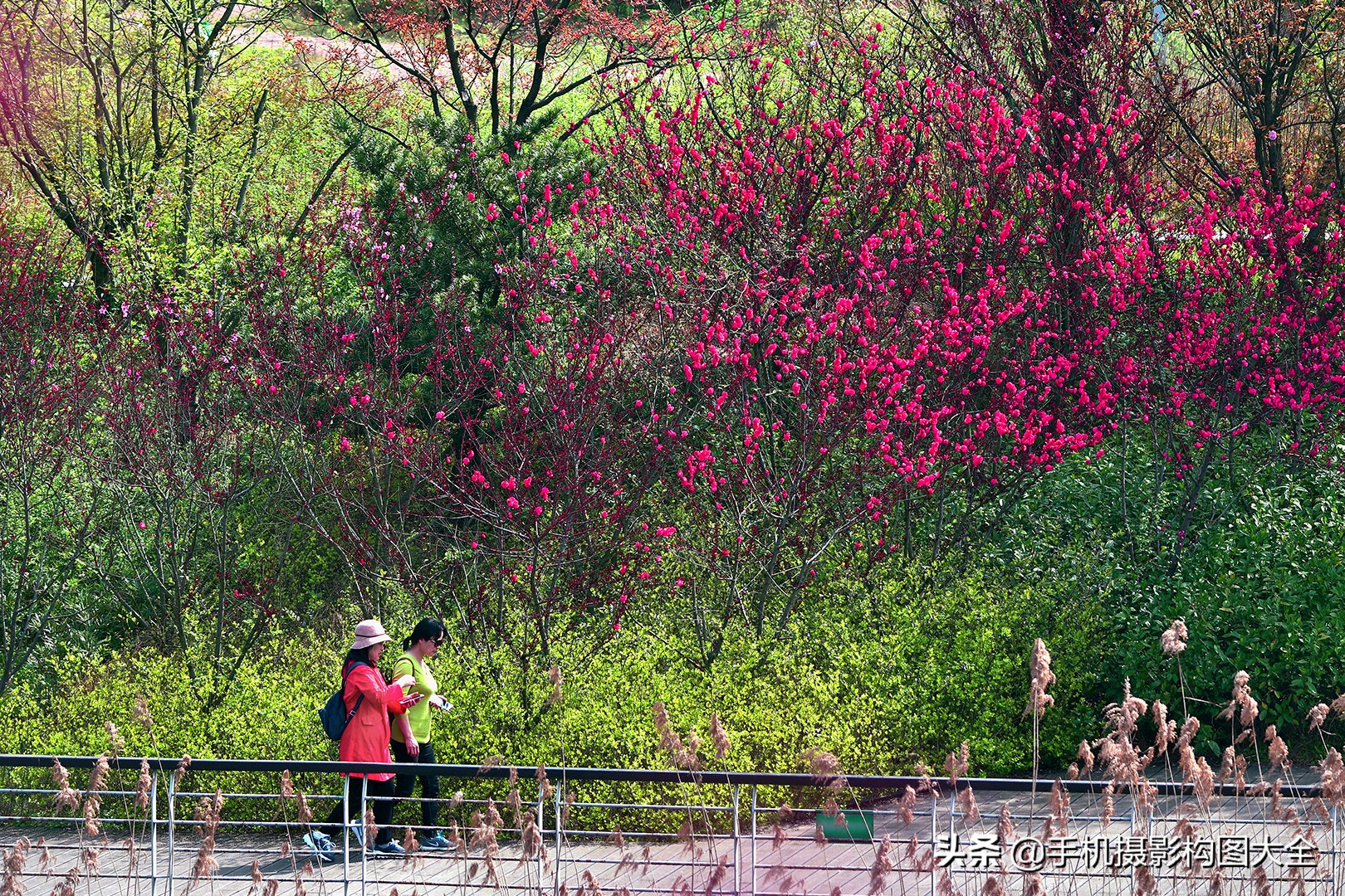 拍出好照片的简单摄影技巧,专业摄影技巧如何拍摄出精美照片