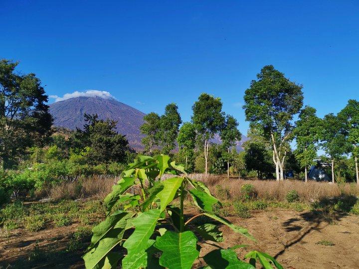 林贾尼火山一日游,印尼火山徒步攻略