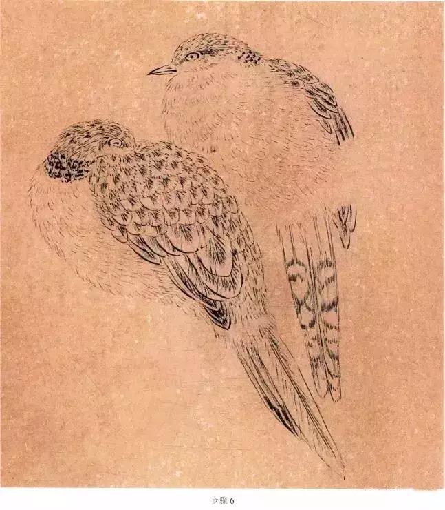 苏百钧工笔国画教学视频,苏百钧花鸟白描画稿