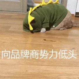 奢侈品制造的内幕,奢侈品大揭秘