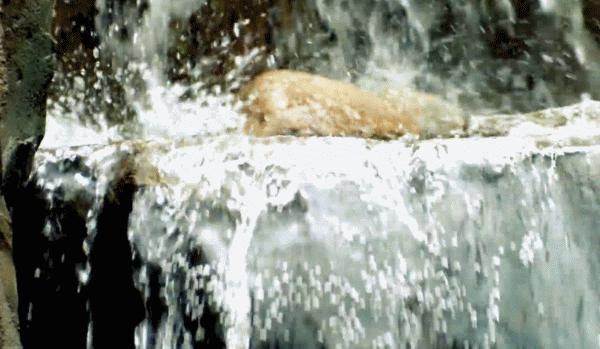 辽宁附近的温泉,辽宁省温泉分布图