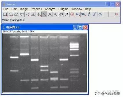 黄色和绿色如何用imagej分析,imagej图像分析教程
