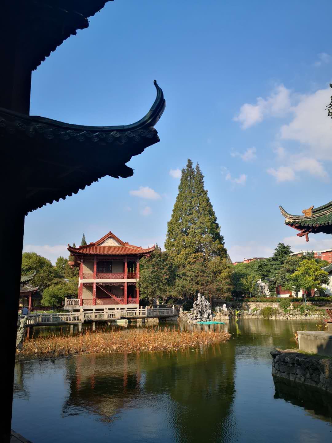 金陵石化南京炼油厂,南京栖霞炼油厂分布图