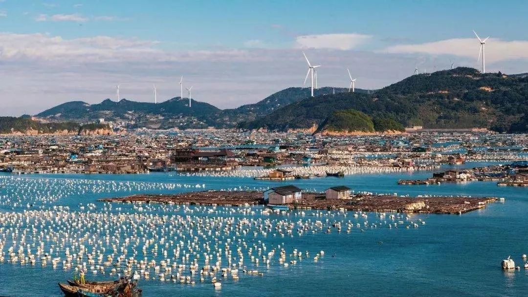国内哪个海边赶海可以捡到贝壳,捡贝壳赶海好去处