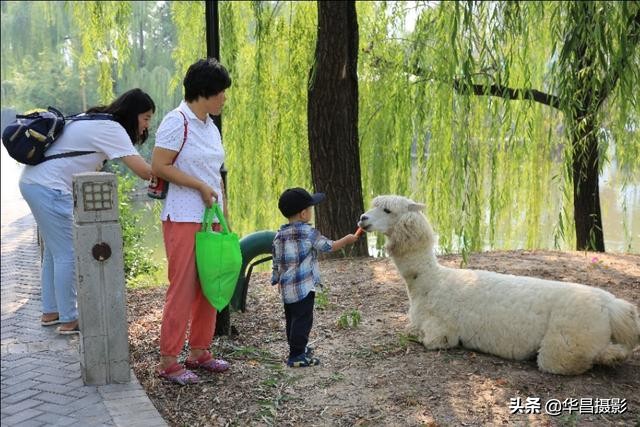 北京紫玉山庄有什么好玩的,紫玉山庄旅游度假