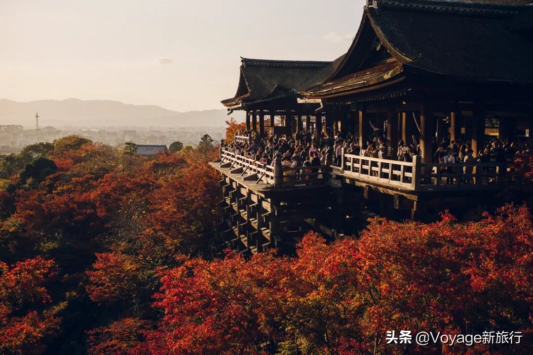 如果一生只能去一次北海道,如果一生只能去一次甘南