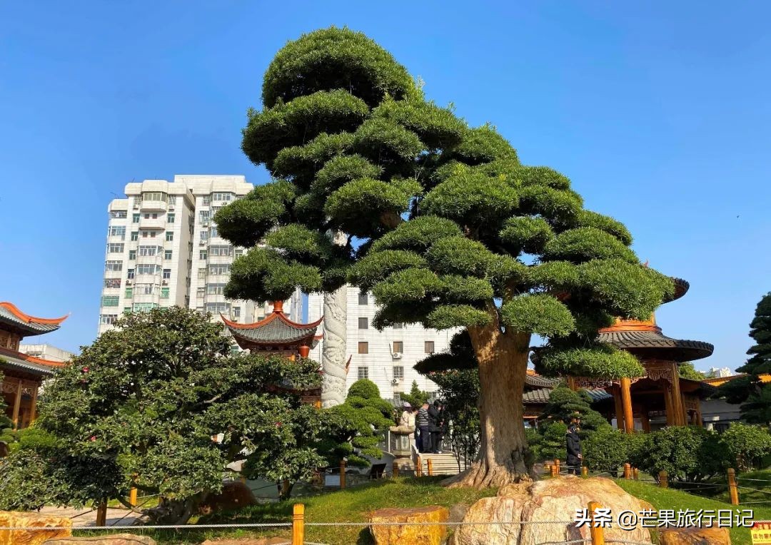 广西“布达拉宫”，据说台湾富商花30亿，用8000工人才建成