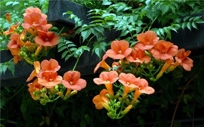 原谅我知识浅薄,原谅我知识浅薄这什么意思