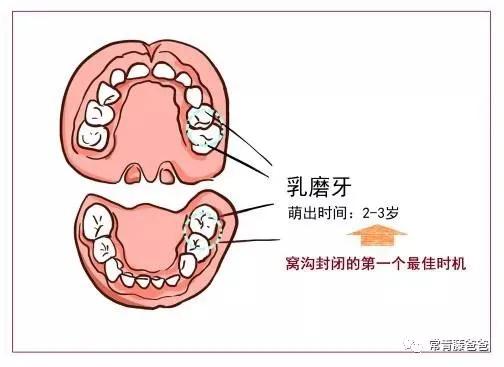 6-12岁换牙怎么换一口好牙,7岁换牙期注意事项怎么才整齐