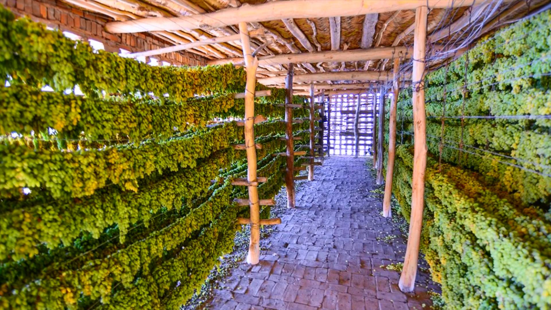 硫磺熏的葡萄干如何吃才健康,硫磺熏葡萄干怎么检测