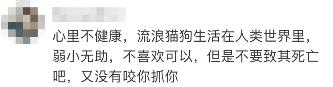 连踹四脚男子街头踢死小猫,男子虐待猫咪被学生暴打