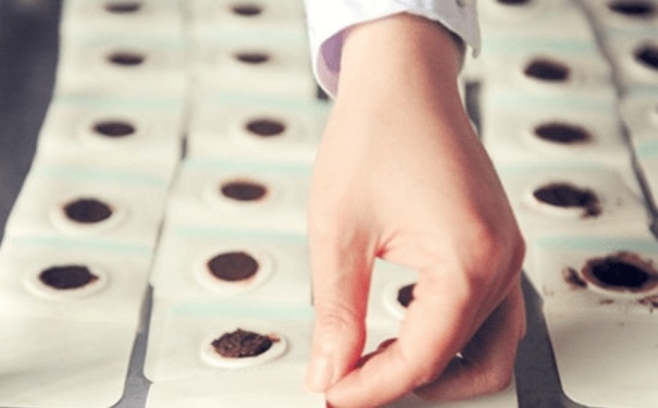 三伏贴治百病,三伏艾草贴到底是骗局还是良方