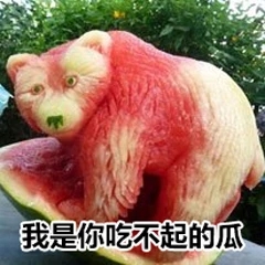 美好的一天从搬砖开始表情包,美好的一天开始了表情包