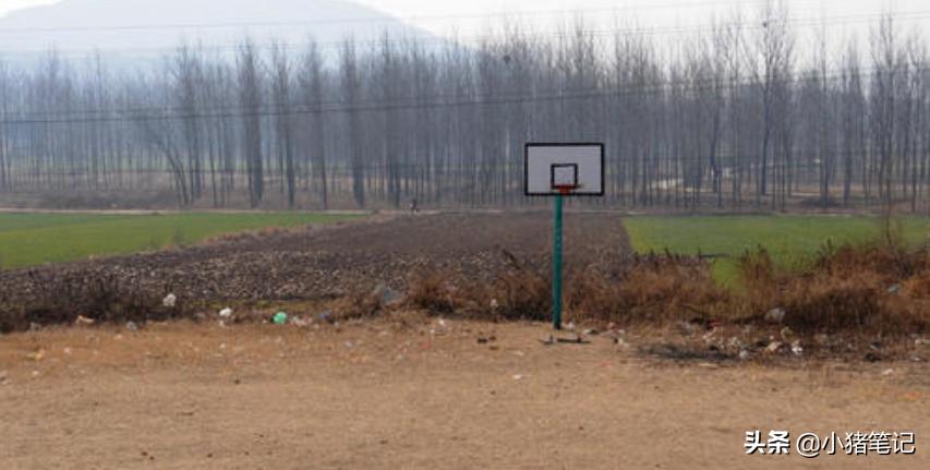 怎么选一款室外场地的篮球,如何选择篮球馆场地