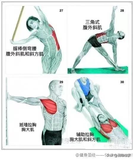 打完球要拉伸有什么作用,松解球怎么松解背部
