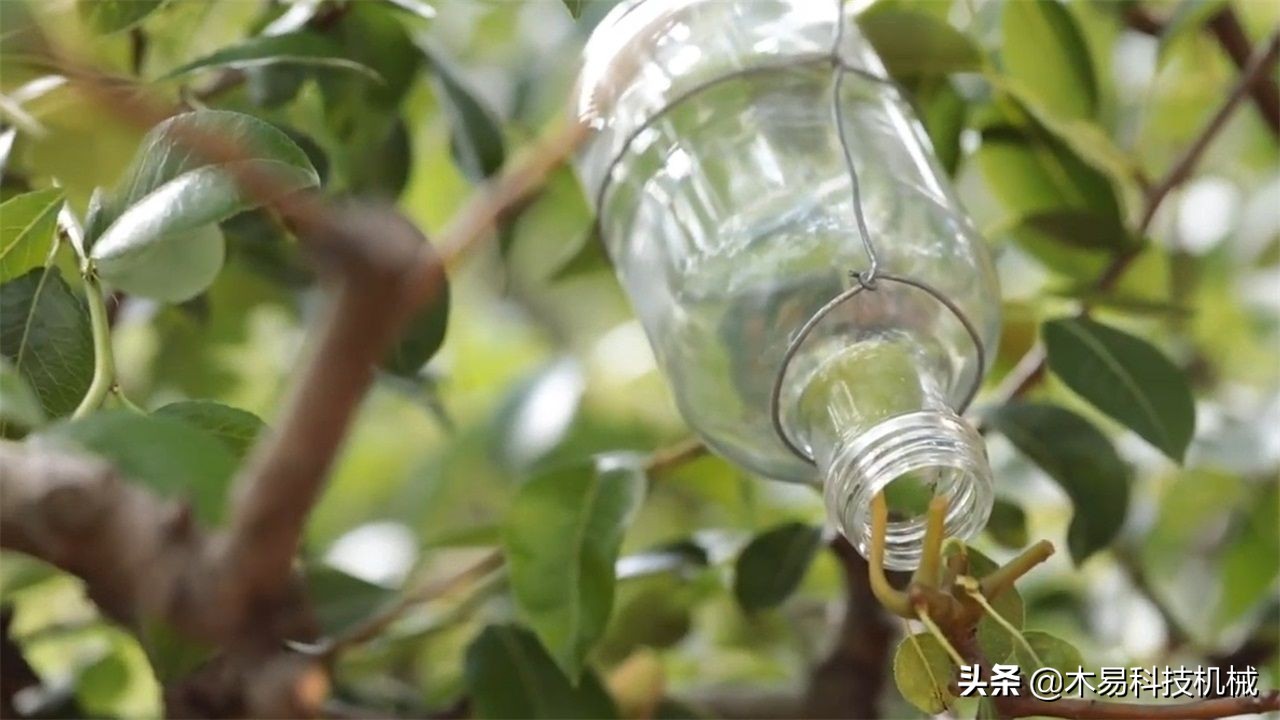 比瓶子大的魔方怎么装进去,比瓶口大的魔方