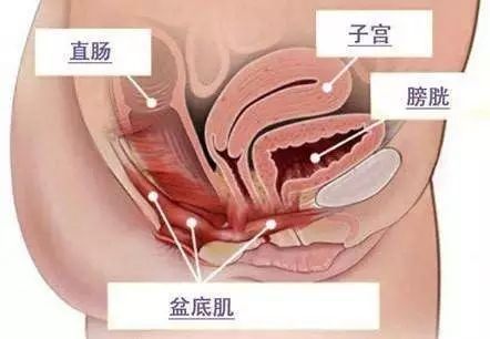 产后修复最佳时间,产后盆底肌肉修复的最佳时机