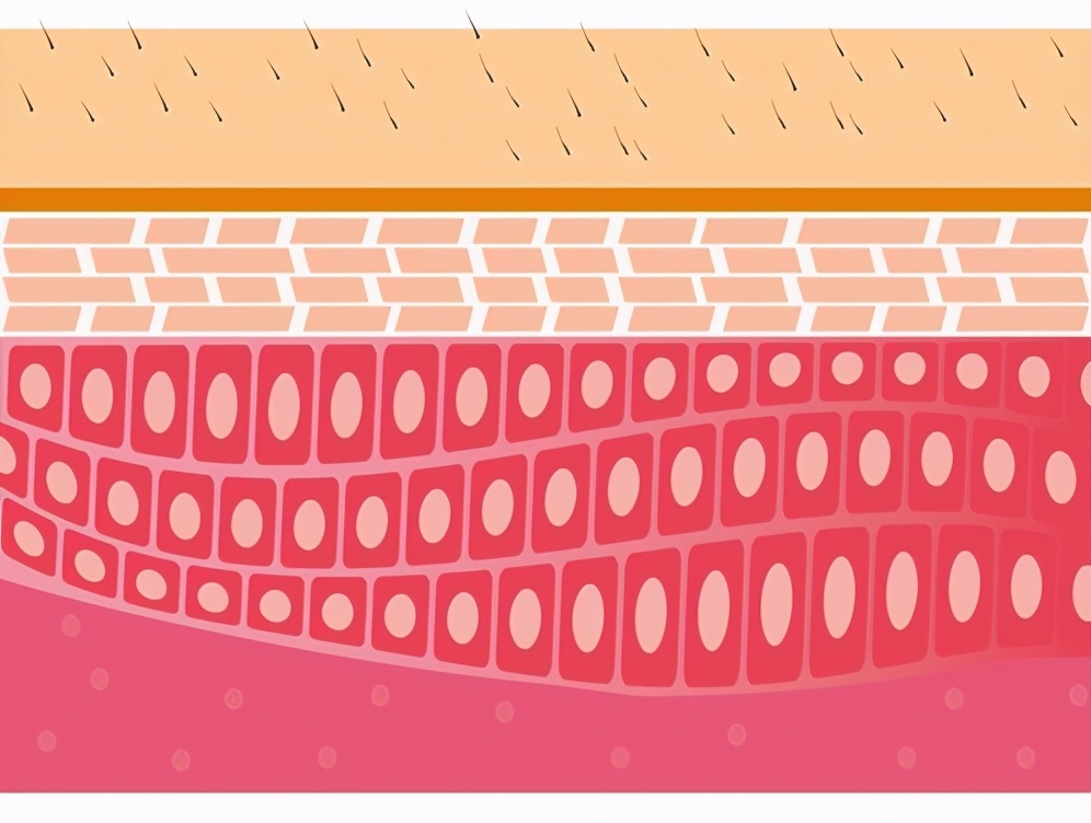 所谓收缩毛孔真的有用吗原理是啥,收缩毛孔的十大误区