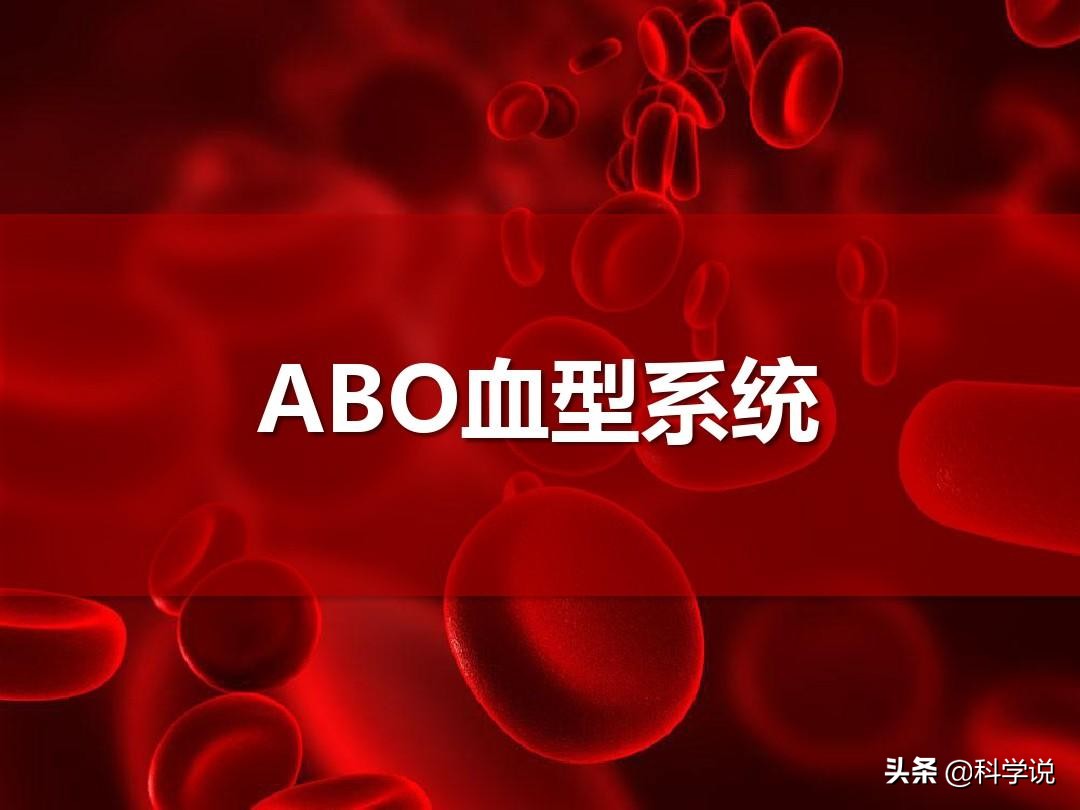 什么血型能生出熊猫血型的孩子,熊猫血型他的母亲应该是什么血型