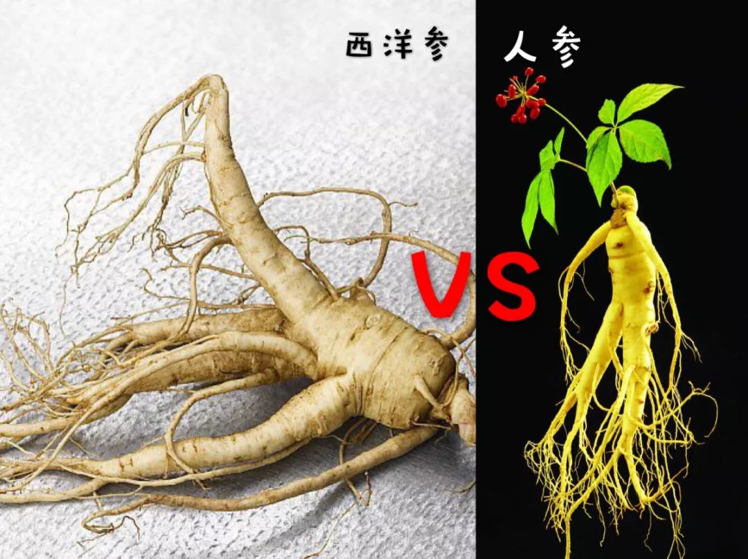一文读懂差异,一文看懂人体学问