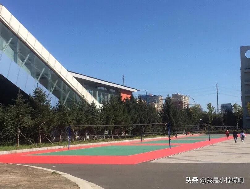 长春工作技术学院院长,长春工作技术学院伤人事件