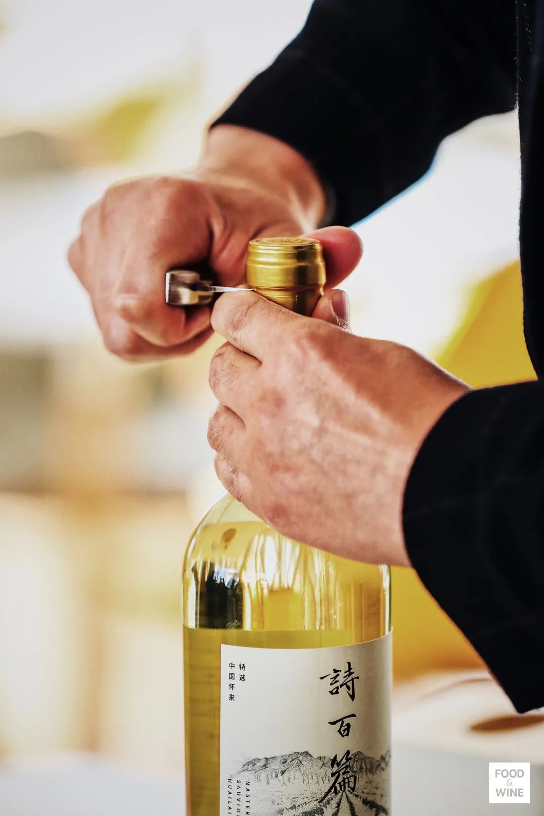 中国造葡萄酒,中国制造的葡萄酒