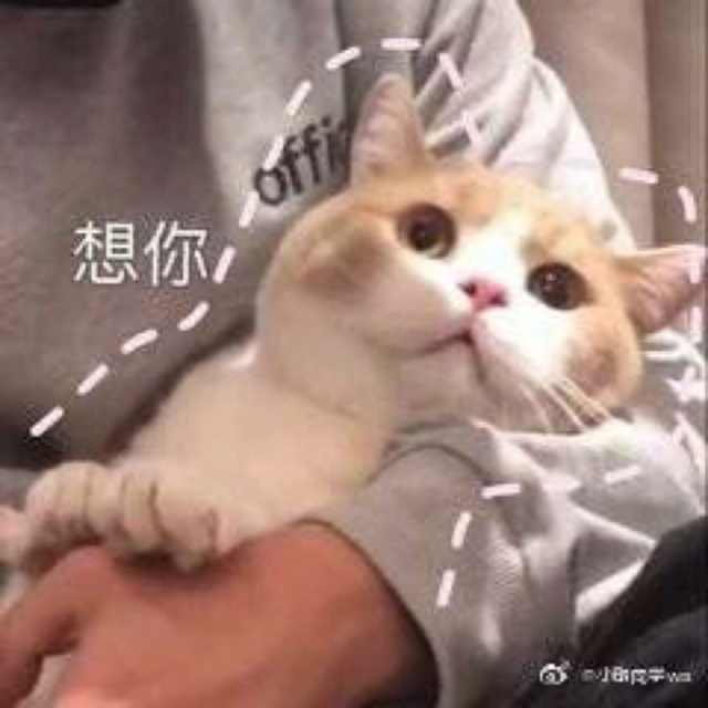 我咋办啊表情包,表情包我能怎么办
