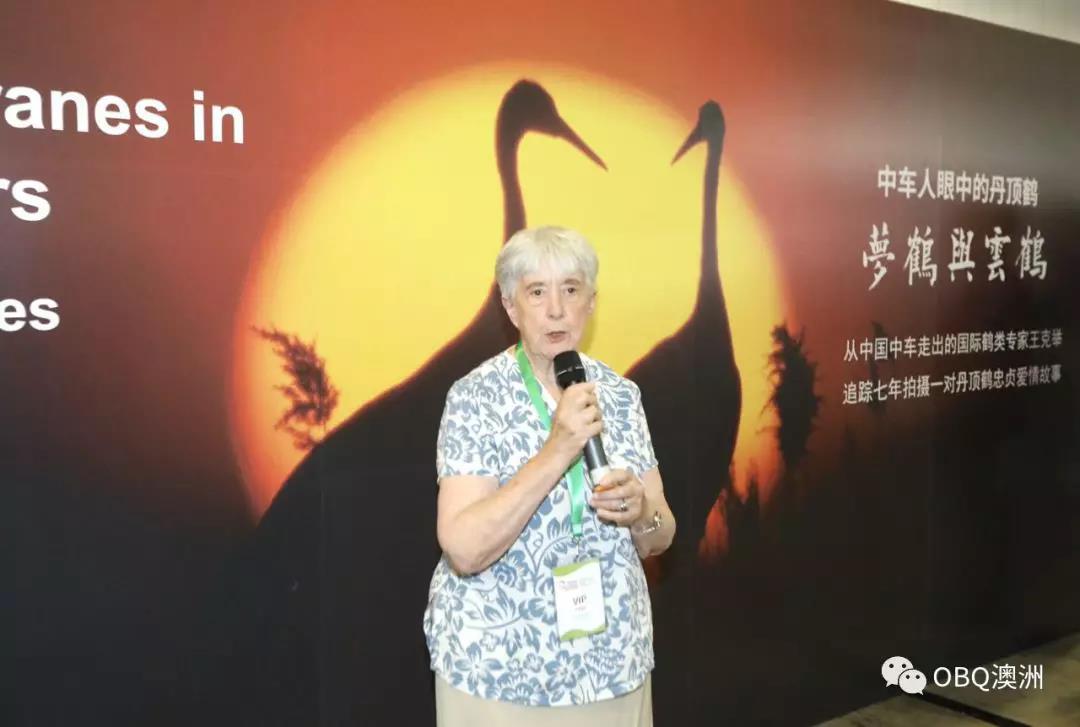 澳大利亚茶博会,国外茶博会开幕