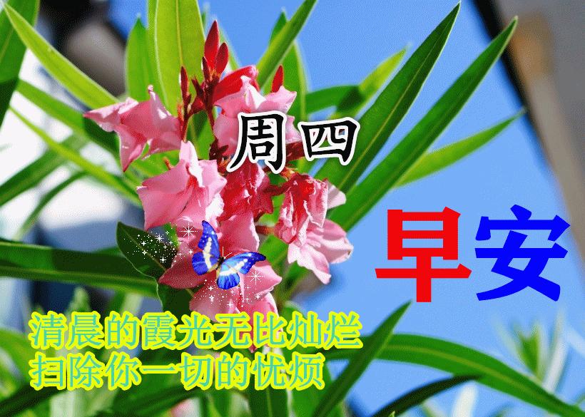 十一月初一早上好祝福,11.11光棍节祝福