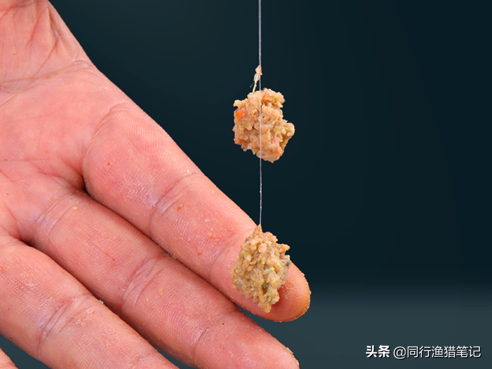 鱼饵的正确挂钩方法,鱼饵怎么挂钩容易钩到鱼