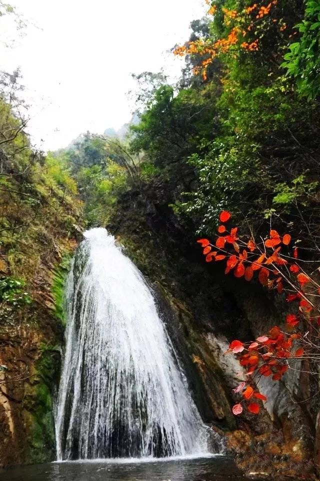 西安秦岭又一赏秋秘境被发现,秦岭又一赏秋秘境