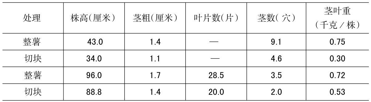 野生马铃薯和栽培马铃薯的比较,马铃薯种植技术与方法