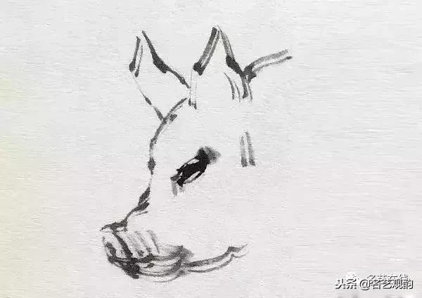 小朋友画猪简单又好看,猪年画猪中国画