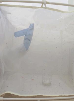 母婴驱蚊液微毒,驱蚊液为什么微毒