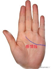 看手相学习好看哪根线,教你看手相百分之百准确