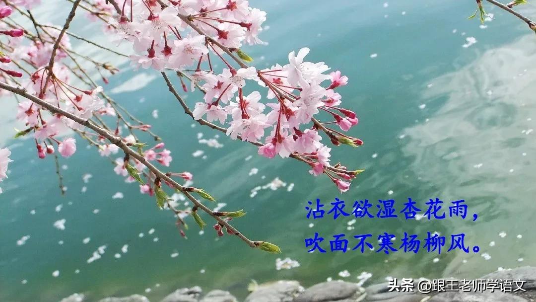 部编二年级下册语文古诗二首预习,二年级下册语文古诗二首知识讲解