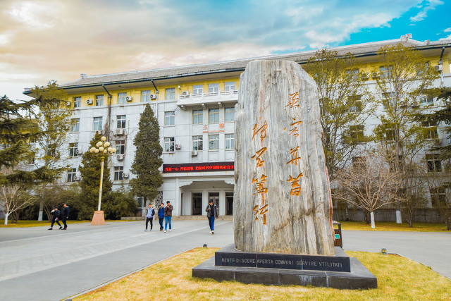 北外小语种专业出国率,北外什么小语种最好