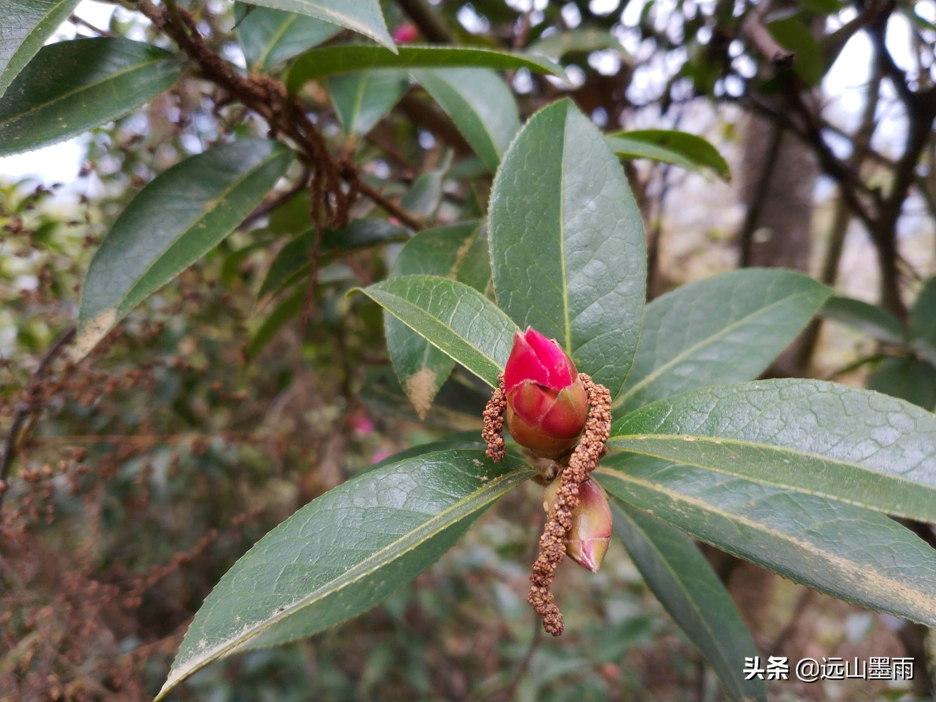 西山旅游公路穿越攻略,昆明西山爬山攻略最佳线路