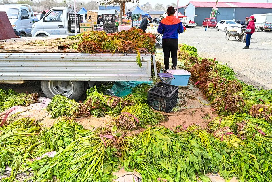 北京京郊大集地理位置,今天京郊哪有大集