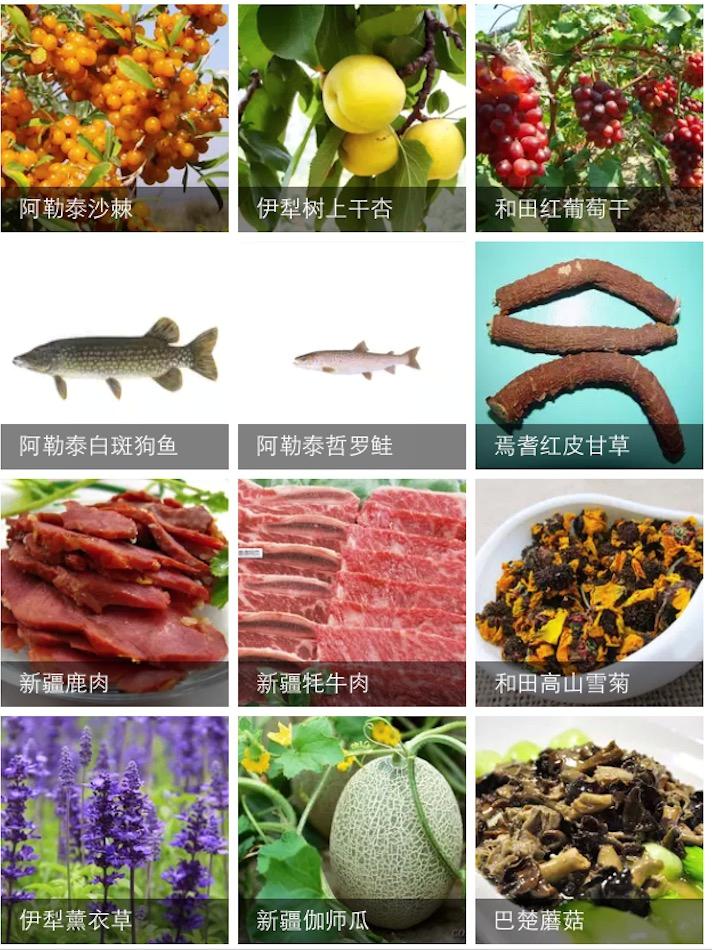 南北疆的特产有哪些,盘点十大新疆的特产