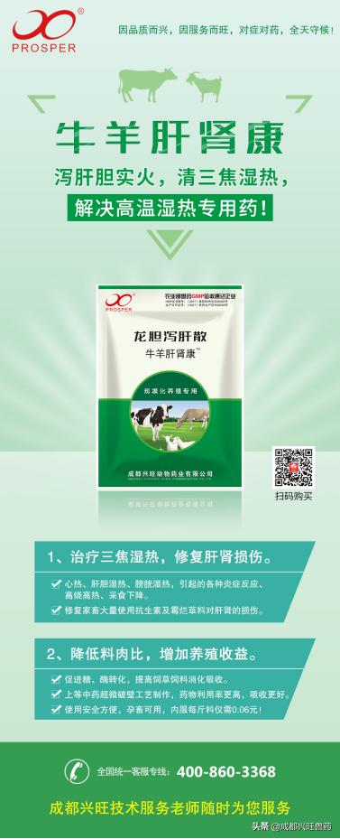 牛羊|光吃不长、夏季流产死胎增加？别怕！牛羊肝肾康来帮你